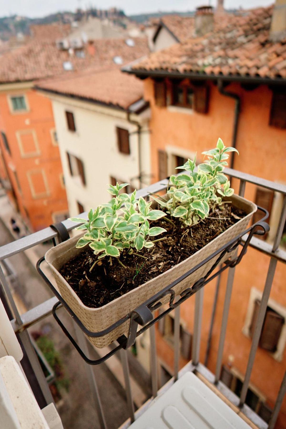 Vista Apartments Verona Exterior foto